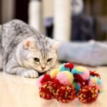 Ipetboom Plush Cat Toys 15Pcs Yarn Puff Cat Toy Cat Balls Small Cat Toy Plush Soft Balls Cat Pom Pom Balls Fuzzy for Pet Toy - Image 5