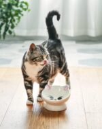 Raised Cat Food Bowl Ceramic 15° Tilted Cat Bowls Protect Cat's Spine Anti Vomiting Backflow Prevention Cat Food Bowls for Adult Cats, Kitten, and Small Dogs, Pink - Image 5
