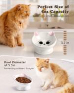 Raised Cat Food Bowl Ceramic 15° Tilted Cat Bowls Protect Cat's Spine Anti Vomiting Backflow Prevention Cat Food Bowls for Adult Cats, Kitten, and Small Dogs, Pink - Image 6