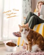 Raised Cat Food Bowl Ceramic 15° Tilted Cat Bowls Protect Cat's Spine Anti Vomiting Backflow Prevention Cat Food Bowls for Adult Cats, Kitten, and Small Dogs, Pink - Image 7