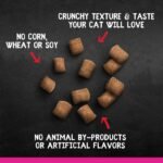 Zoe Purrables Cat Treats, Salmon 1st Ingredient, 75 g - Image 6