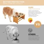 FOREYY Raised Pet Bowls for Cats and Small Dogs, Bamboo Elevated Dog Cat Food and Water Bowls Stand Feeder with 2 Stainless Steel Bowls and Anti Slip Feet (4''Tall-20 oz Bowl) - Image 5