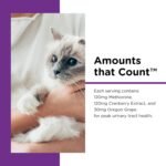 Nutri-Vet Uri-Ease Paw Gel for Cats, Probiotic & Prebiotic Kitten Supplies, Cranberry Supplement, Immune Support Supplement, Cat Urinary Vitamin, Gut Health, Salmon Flavor, 3oz - Image 4