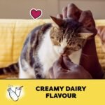 TEMPTATIONS Cat Treats, Creamy Dairy Flavour, 180g (10 Pack) - Image 5