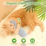 Rishoesu 3 Pcs Interactive Cat Toys Cat Pillows, Soft and Durable Crinkle Sound Catnip Toys, for Indoor Cats Funny Kitten Toys Exercise - Image 5