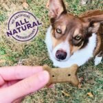 Old Mother Hubbard Classic P-Nuttier Biscuits Baked Dog Treats, Small, 20 Ounce Bag - Image 4