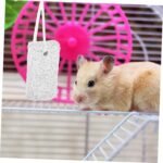 12pcs Hamster Molar Stone Guinea Pigs Rodent Hamsters Lab Natural Volcanic Rock Light Grey - Image 6