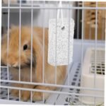 12pcs Hamster Molar Stone Guinea Pigs Rodent Hamsters Lab Natural Volcanic Rock Light Grey - Image 7