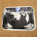 2 Pack Stainless Steel Cat Litter Box, 40×30×10cm Low Entry Metal Litter Pan, Small Litter Box for Little Cats and Kittens, Easy Cleaning, Odor Free - Image 8