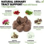 Deley Naturals Dog UTI Prevention Chews - Cranberry Supplement for Dogs for Incontinence, Bladder & Immune System Support - UTI Incontinence Supplement with D-Mannose - Supports Urinary Tract Health - Image 3
