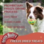 Benny Bullys Mini Bits - Freeze-Dried Chicken Heart Dog Treats | Low-Calorie, Grain-Free, Natural & Healthy Training Snacks for Puppies, Dogs, and Pets - 38g/ 1.34 oz - Image 7