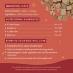 Benny Bullys Mini Bits - Freeze-Dried Chicken Heart Dog Treats | Low-Calorie, Grain-Free, Natural & Healthy Training Snacks for Puppies, Dogs, and Pets - 38g/ 1.34 oz - Image 8