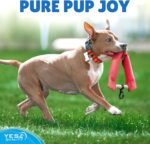 Dog Toy - Tug of War for Dogs - Horseshoe Shape Pull and Play Toy for 2 Dogs - 10x11 Inch, Fun Fuchsia - Durable Training and Exercise Equipment for Medium to Large Breeds - by Yes4Quality - Image 8