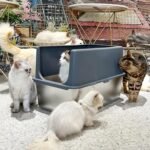 Enclosed Cat Litter Box,High Sided Stainless Steel Litter Box Anti-Leakage,Non-Stick Extra Large Litter Box with Lid,23.5" L x 15.5" W x 16" H(Grey) - Image 8