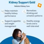 Pet Wellbeing Kidney Support Gold for Cats - Vet-Formulated - Holistic Supplement, Supports Normal Kidney Health, Hydration & Energy, Astragalus & Dong Quai – 4 oz (118 ml) - Image 3
