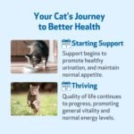 Pet Wellbeing Kidney Support Gold for Cats - Vet-Formulated - Holistic Supplement, Supports Normal Kidney Health, Hydration & Energy, Astragalus & Dong Quai – 4 oz (118 ml) - Image 8
