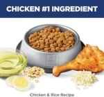 Hill's Science Diet Sensitive Stomach & Skin, Adult 1-6, Stomach & Skin Sensitivity Support, Dry Cat Food, Chicken & Rice, 7 lb Bag - Image 7