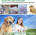 2PCS Collar for Dogs and Cats, Effective Prevention for 16 Months, Adjustable Size, Waterproof, 63.5cm (Grey+Green) - Image 4