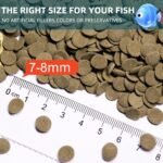 Aquarium Fish Food, Nutritionally Balanced Shrimp Fish Food, Daily Diet for All Bottom Feeders, Fresh Seafood Formula, 1.76 Ounces - Image 6