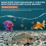 Aquarium Fish Food, Nutritionally Balanced Shrimp Fish Food, Daily Diet for All Bottom Feeders, Fresh Seafood Formula, 1.76 Ounces - Image 8