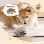 Pawaboo Plush Dog Toy, Non-Toxic Super Soft Faux-Fur Hedgehog Dog Toy Squeak Aninal Toy Stuffed Biting Training Playing Toys for Dog Puppy, Brown - Image 3