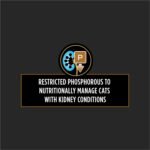 Purina Pro Plan Veterinary Diets 17903 Ppvd Nf Advn Care Feline Cat Food, 5.5 oz - Image 5