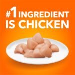 IAMS Proactive Health Urinary Tract Health Adult Dry Cat Food – with Chicken – 3.18KG (7LB) Bag - Image 5