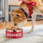 Personalized Dog and Cat Food & Water Bowls - Custom Name, Anti-Slip, Easy-to-Clean Stainless Steel Dishes for Small, Medium & Large Pets (Red) - Image 6