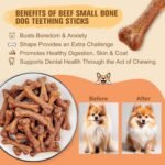 Dental Chew Beef Sticks for Dogs Teeth Cleaning, Chew Toy Treats for Puppy Medium Dogs (S, Cheese) - Image 8