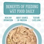 Weruva Cats in The Kitchen, Variety Pack, Kitchen Cuties, Wet Cat Food by Weruva, 3.2oz Cans (Pack of 12) - Image 7