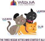 Weruva Cats in The Kitchen, Variety Pack, Kitchen Cuties, Wet Cat Food by Weruva, 3.2oz Cans (Pack of 12) - Image 8