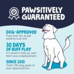 goDog 74023-98997-024 Gators with Chew Guard Technology Durable Plush Squeaker Dog Toy, Large, 1 Count, Pink (774023) - Image 7