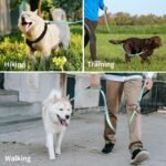 Dog Leash, Heavy Duty Dog Leash, Leashes for Large Breed Dogs 5FT FT, Double Handle Reflective Training Lead, Perfect for Medium to Large Dogs (Black, 72 Inch FT) - Image 9