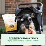 Open Farm, Be Good Bites, Soft Dog Training Treats, Small & Chewy, Made with Ethically & Sustainably Sourced Ingredients, Non-GMO Fruits & Grains, Chicken Recipe, 6oz Pouch - Image 3