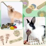 Rabbit Chew Toys for Teeth, FIPASEN 16PCS Natural Timothy Hay Chew Toy, Improve Dental Health for Bunny/Chinchilla/Guinea Pig/Hamsters/Holland Lop, Small Rodent Pet Molar Teeth Treats Toys - Image 5