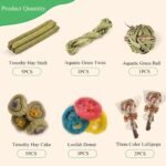 Rabbit Chew Toys for Teeth, FIPASEN 16PCS Natural Timothy Hay Chew Toy, Improve Dental Health for Bunny/Chinchilla/Guinea Pig/Hamsters/Holland Lop, Small Rodent Pet Molar Teeth Treats Toys - Image 6