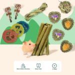 Rabbit Chew Toys for Teeth, FIPASEN 16PCS Natural Timothy Hay Chew Toy, Improve Dental Health for Bunny/Chinchilla/Guinea Pig/Hamsters/Holland Lop, Small Rodent Pet Molar Teeth Treats Toys - Image 8