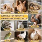 Sukh Natural Botanical Rabbit Treats - 160g Guinea Pig Treats Healthy Natural Mixed Freeze Dried Vegetable,Flowers & Fruit Hamster Treats for Bunny,Guinea Pig,Hamster,Chinchilla,Gerbil - Image 5