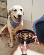 LE TAUCI Ceramic Slow Feeder Dog Bowl, 3 Cups for Medium Large Breed, Maze Design for Fast Eaters, Slows Down Eating, Puzzle Feeding Dish, Maze Purple - Image 3