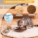 4PCS Stainless Steel Cat Bowl, Cat Food Bowls Whisker Friendly, Cat Food Dishes, 16cm Wide Shallow Kitten Bowls for Indoor Cats, Metal Cat Plates for Puppy, Small Dogs, Rabbits - Image 5