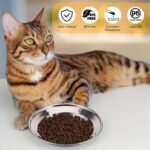 4PCS Stainless Steel Cat Bowl, Cat Food Bowls Whisker Friendly, Cat Food Dishes, 16cm Wide Shallow Kitten Bowls for Indoor Cats, Metal Cat Plates for Puppy, Small Dogs, Rabbits - Image 8