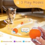 Interactive Cat Toys for Indoor Cats,Chirping Cat Ball Toy with 2 Replaceable Tails,Rechargeable Cat Toys for Bored Indoor Adult Cats and Kittens,Motion Activated Cat Toys Interactive(Orange) - Image 5