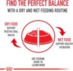 Royal Canin Feline Health Nutrition Aging 12+ Loaf in Sauce Canned Cat Food, 5.8-Ounce, 24-Pack - Image 3