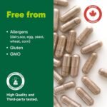 Organika Canadian-Made Chanca Piedra 500 mg - UTI Support | Kidney, Gallblader and Urinary Support, Cleansing- 120 vcaps - Image 5