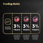 CESAR Classic Loaf in Sauce Adult Wet Dog Food Beef Selects Variety Pack, 24x100g Trays - Image 9