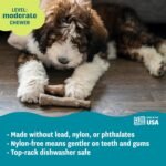 Outward Hound Dogwood Wood Durable Dog Chew Toys, Real Wood & Calming Hemp, 2-Pack, Medium - Image 5