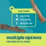 Outward Hound Dogwood Wood Durable Dog Chew Toys, Real Wood & Calming Hemp, 2-Pack, Medium - Image 6