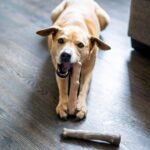 Outward Hound Dogwood Wood Durable Dog Chew Toys, Real Wood & Calming Hemp, 2-Pack, Medium - Image 7