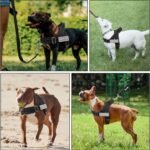 SlowTon No Pull Dog Harness and Leash Set for Large Medium Dogs, Soft Padded Adjustable Dog Vest, Reflective Tactical Military Dog Harness 5.9 Ft Dog Leash Anti-Twist Pet Lead (Black,L) - Image 9