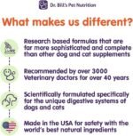 Dr. Bill’s Canine Ultimate Fitness & Health (340g) | Complete Multivitamin for Dogs | Pet Supplement | Includes Coenzyme Q-10, Vitamin E, Vitamin D-3, Biotin, Folic Acid, and Hyaluronic Acid - Image 8